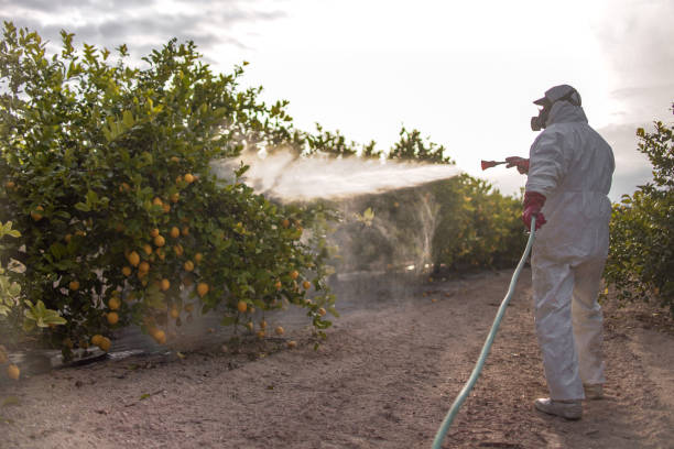 Reliable Beverly, OH Pest Control Solutions
