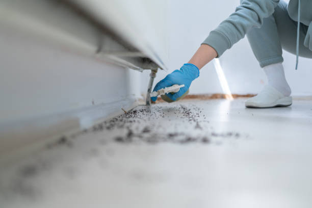 Pest Control for Restaurants in Beverly, OH